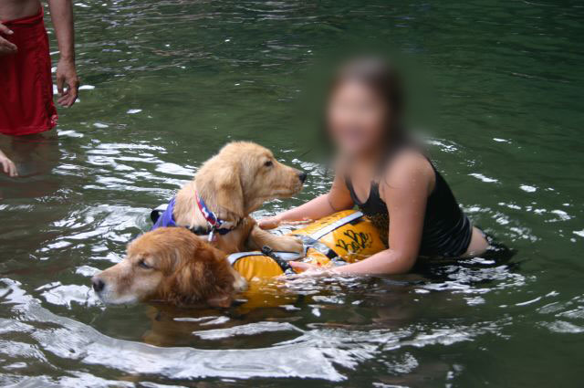 ファイル 103-4.jpg