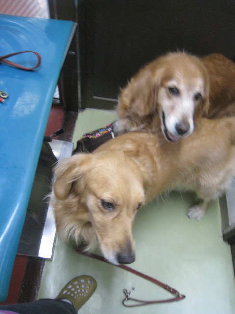 ファイル 1031-1.jpg