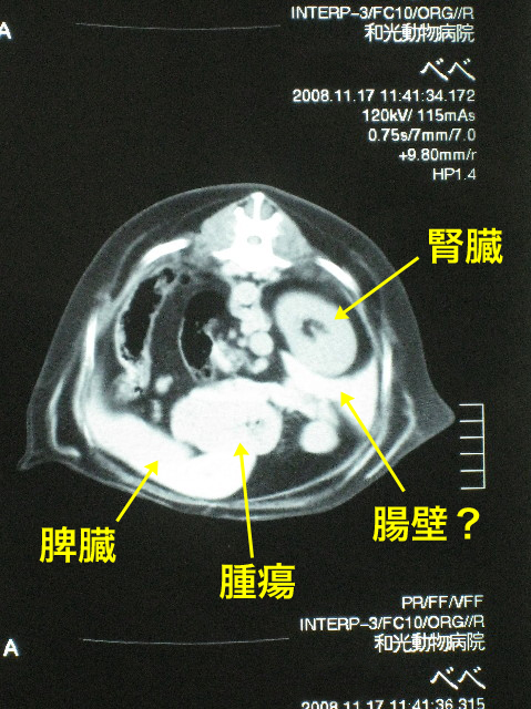 ファイル 1031-2.jpg