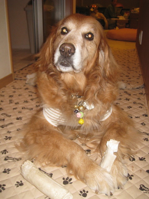 ファイル 1032-2.jpg