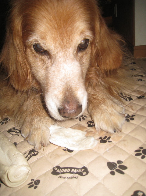 ファイル 1032-4.jpg