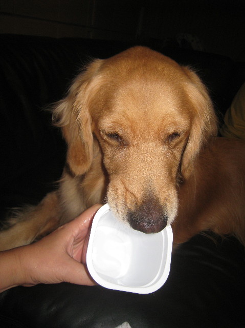 ファイル 1033-4.jpg