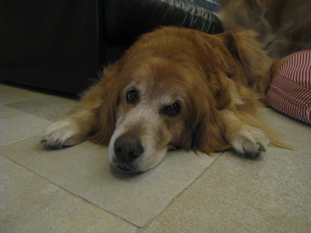 ファイル 1033-5.jpg