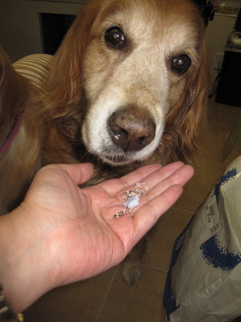 ファイル 1034-1.jpg