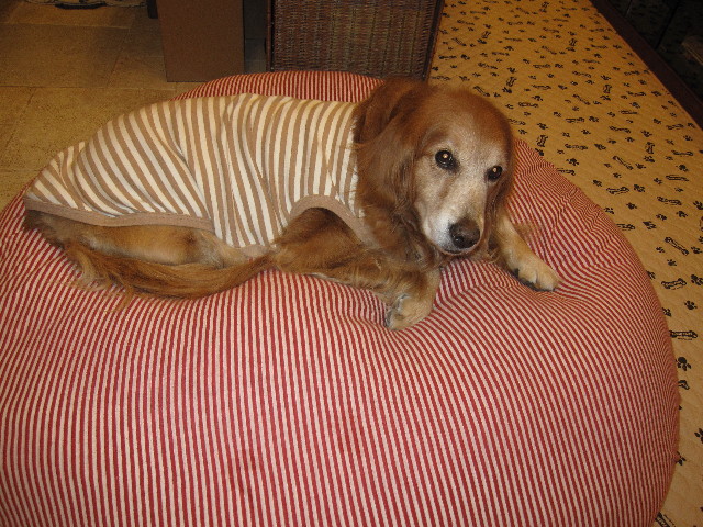 ファイル 1034-2.jpg