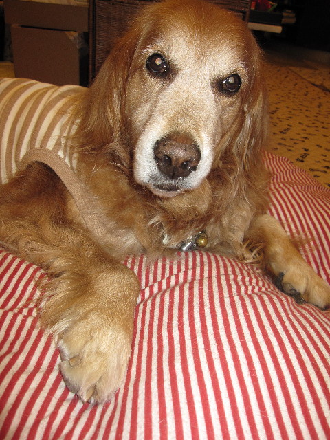 ファイル 1034-3.jpg