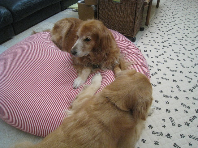 ファイル 1035-2.jpg