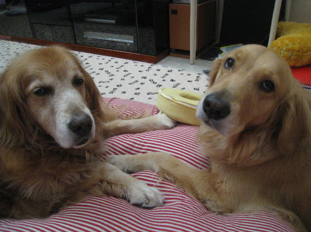 ファイル 1035-3.jpg