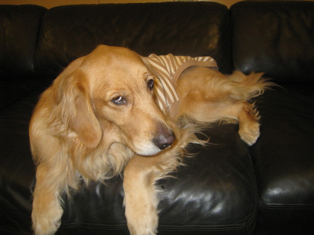 ファイル 1035-5.jpg