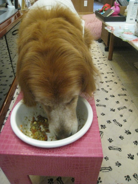 ファイル 1037-2.jpg