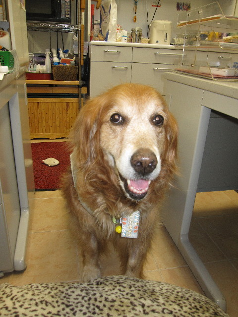 ファイル 1037-5.jpg