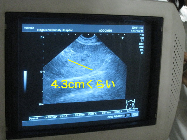 ファイル 1038-2.jpg