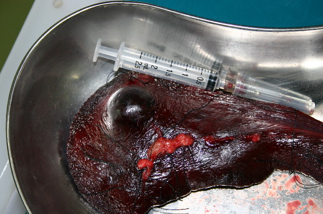 ファイル 1038-3.jpg