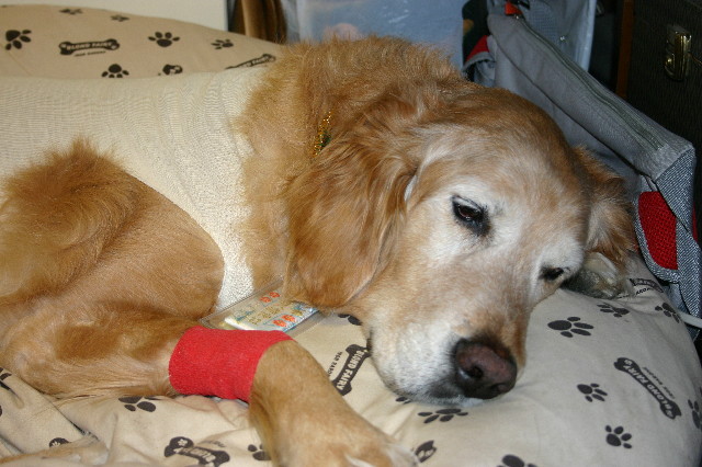 ファイル 1038-5.jpg