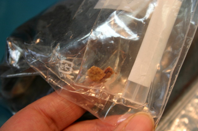 ファイル 1039-5.jpg