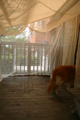 ファイル 104-3.jpg