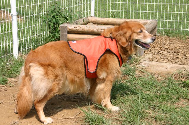 ファイル 104-5.jpg