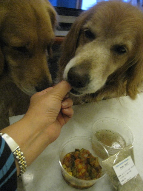 ファイル 1040-1.jpg