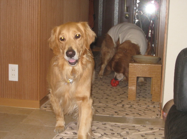 ファイル 1040-4.jpg