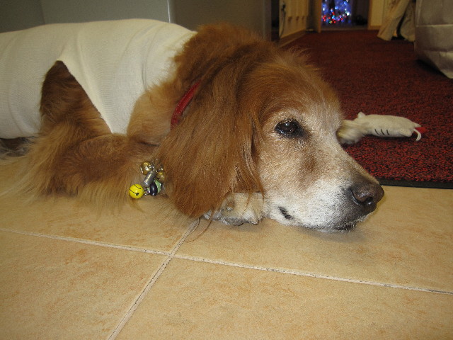 ファイル 1040-5.jpg