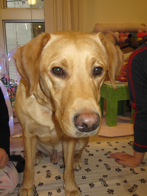 ファイル 1041-1.jpg