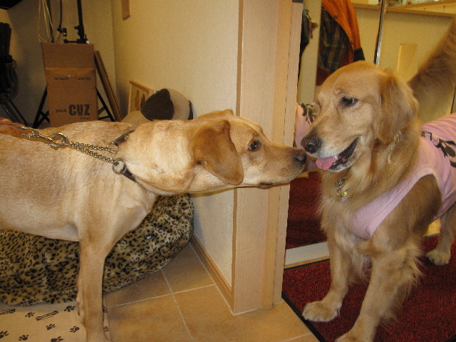 ファイル 1041-2.jpg