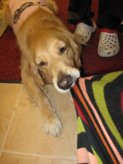 ファイル 1041-3.jpg