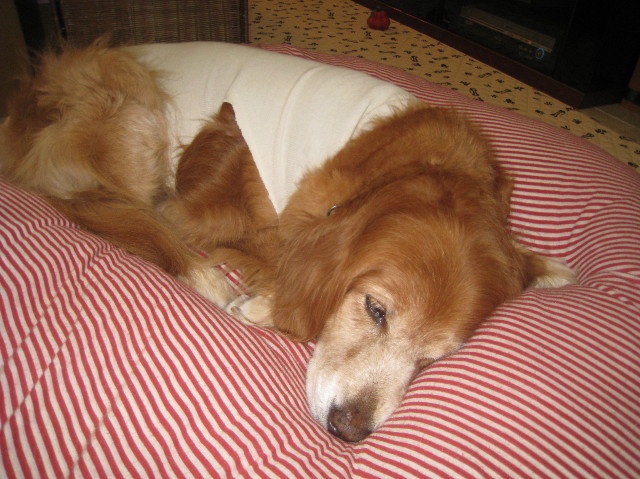 ファイル 1042-3.jpg