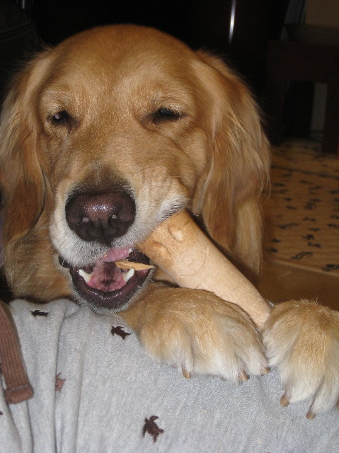 ファイル 1042-4.jpg