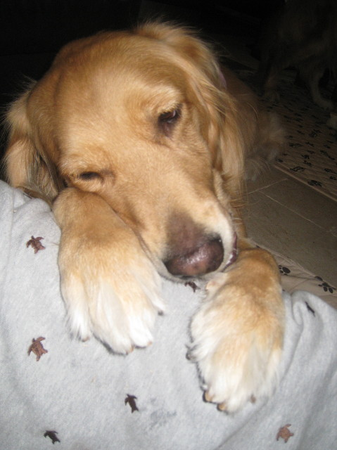 ファイル 1042-5.jpg