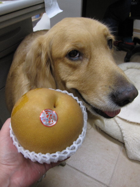 ファイル 1043-2.jpg