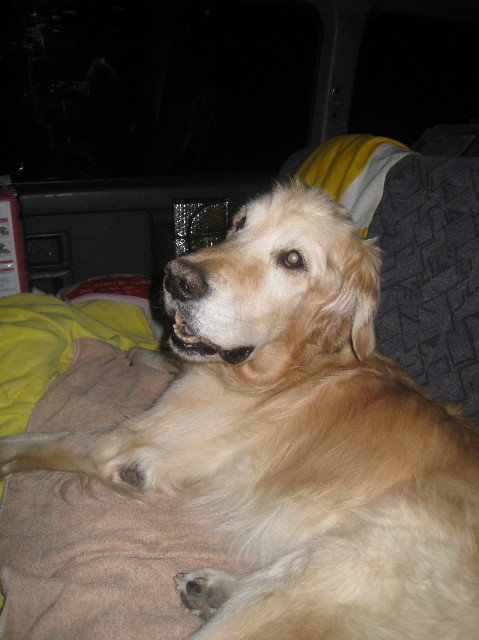 ファイル 1043-5.jpg