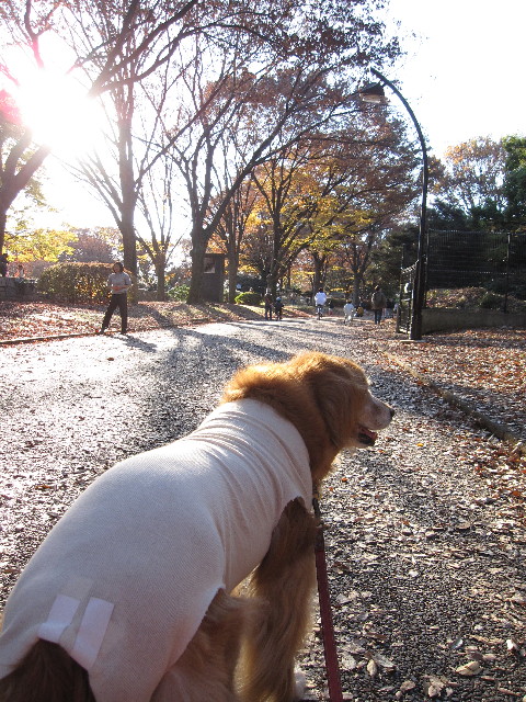 ファイル 1045-4.jpg