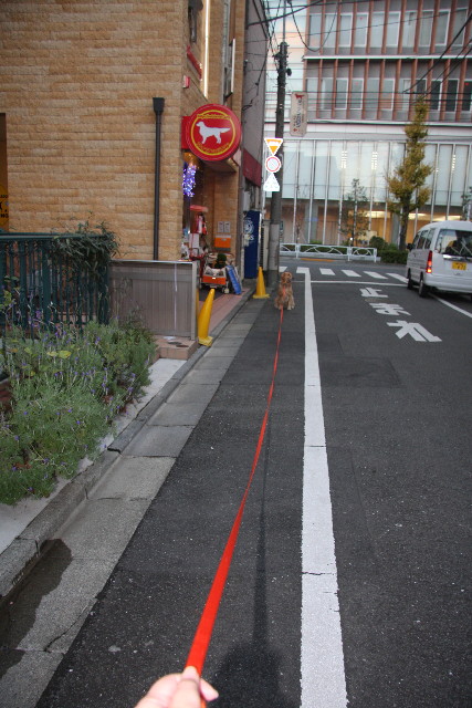 ファイル 1046-3.jpg