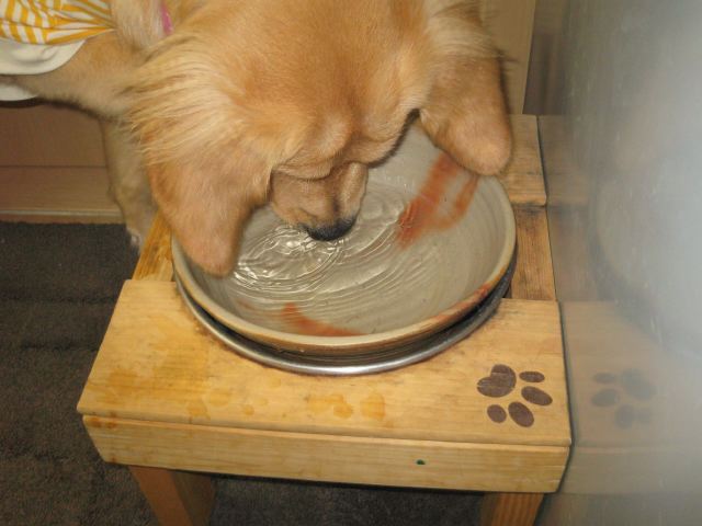 ファイル 105-2.jpg