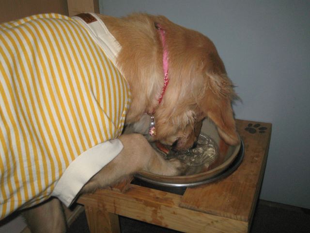 ファイル 105-3.jpg