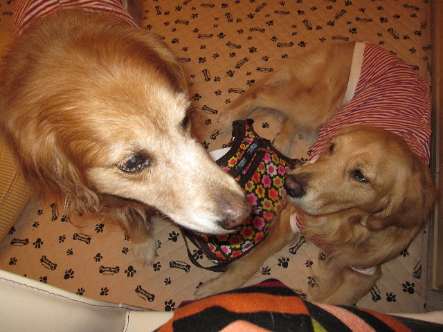 ファイル 1050-3.jpg