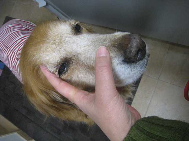 ファイル 1051-2.jpg