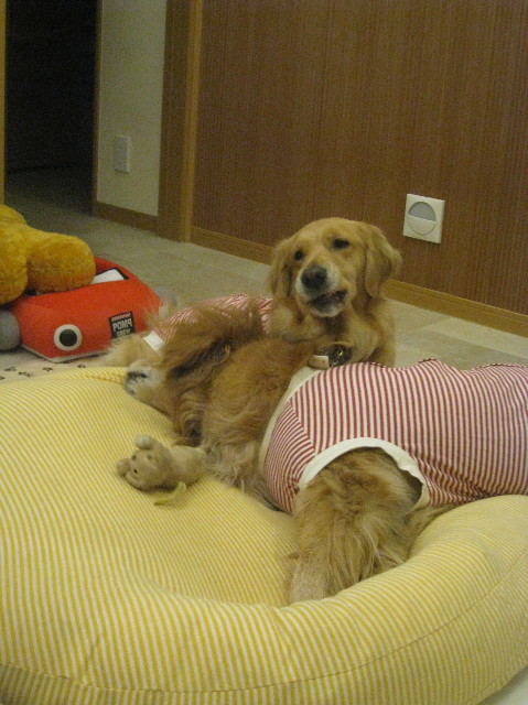 ファイル 1051-3.jpg