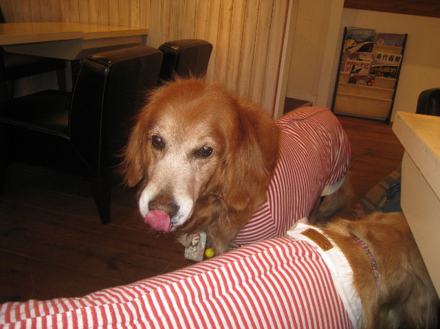 ファイル 1051-5.jpg