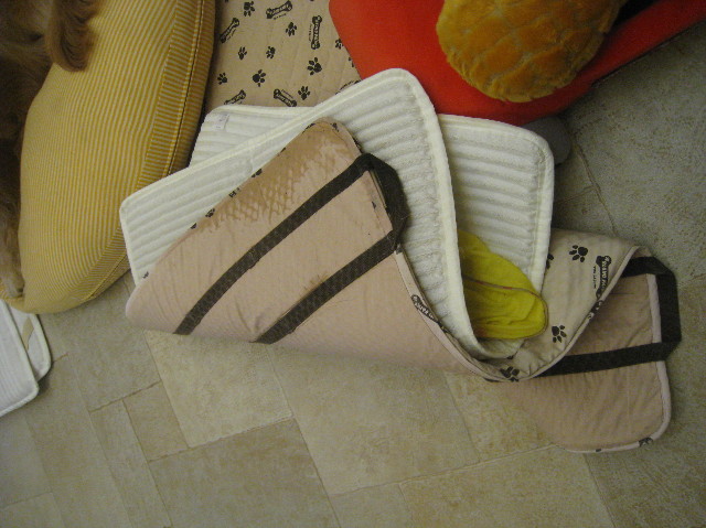 ファイル 1052-1.jpg