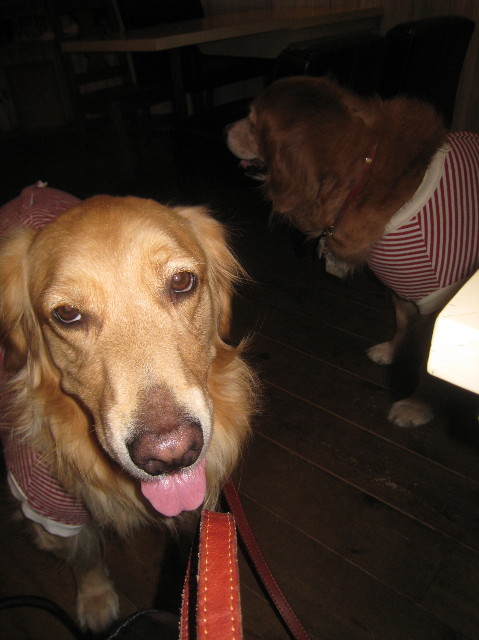 ファイル 1052-3.jpg