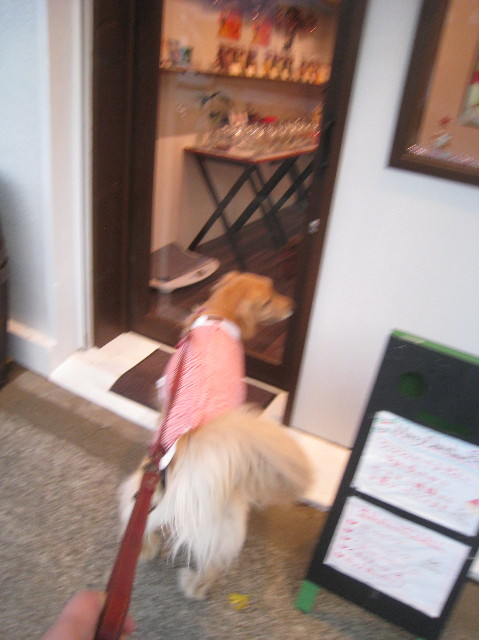 ファイル 1052-4.jpg