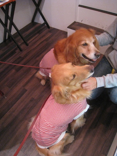 ファイル 1052-5.jpg