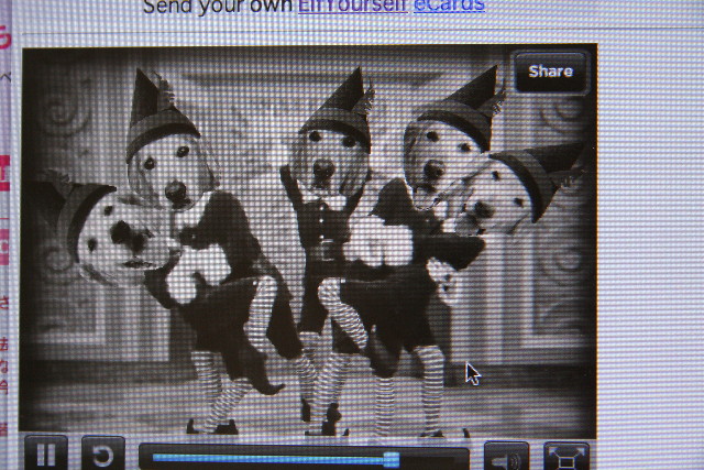 ファイル 1053-3.jpg