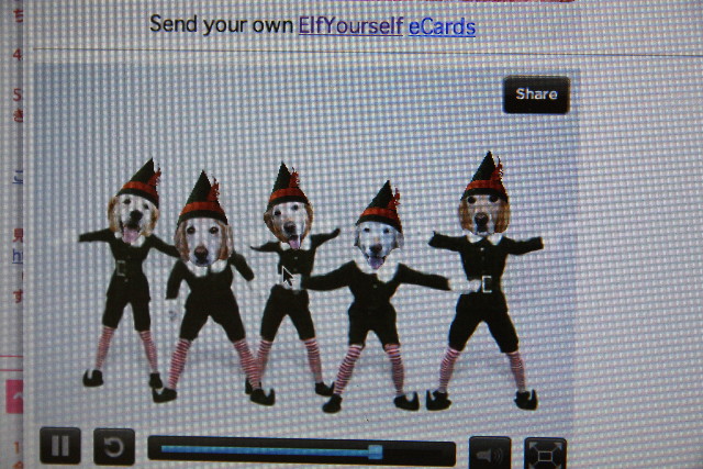 ファイル 1053-5.jpg