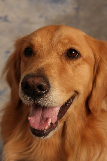 ファイル 1054-1.jpg