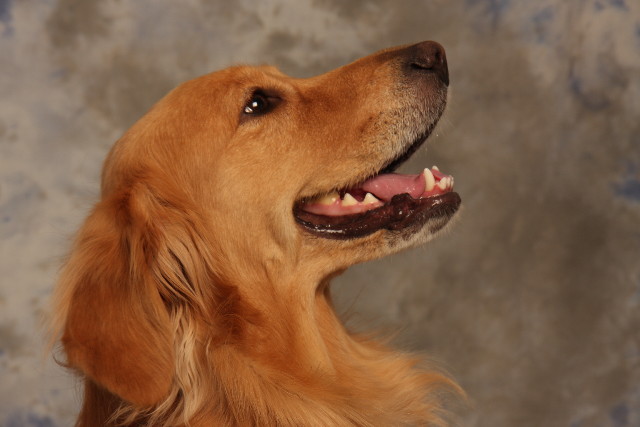 ファイル 1054-3.jpg