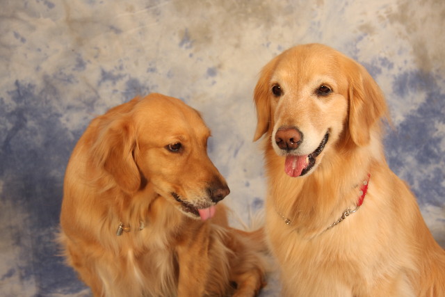 ファイル 1054-5.jpg