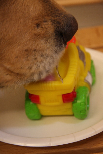 ファイル 1056-1.jpg